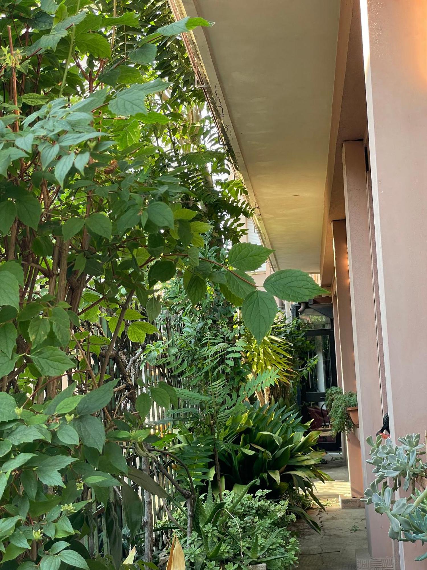 Hotel Berlino Cattolica Exterior foto